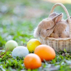 Von Ostara bis Ostern – Ursprung und Bräuche des Osterfests