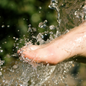 Sebastian Kneipp ‒ Begründer der modernen Hydrotherapie
