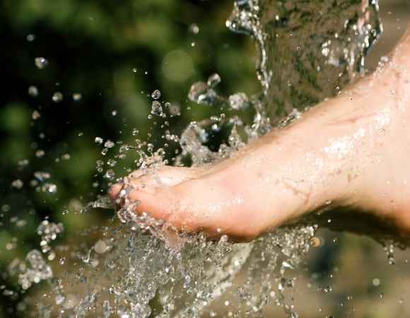 Sebastian Kneipp ‒ Begründer der modernen Hydrotherapie
