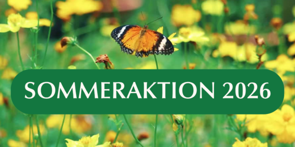 SOMMERAKTION 2026: Jetzt Heilpraktiker werden – mit 7,5 % Sommerbonus zum Traumberuf