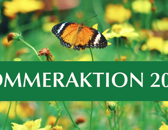 SOMMERAKTION 2026: Jetzt Heilpraktiker werden – mit 7,5 % Sommerbonus zum Traumberuf