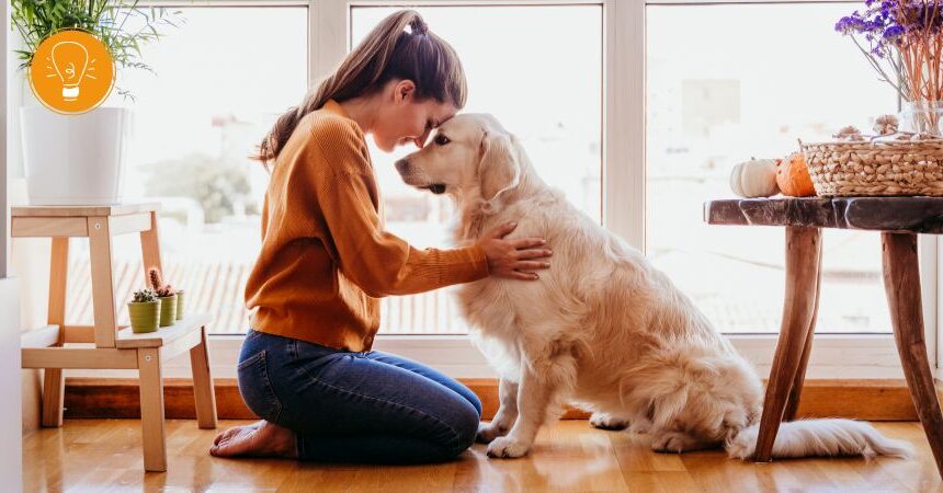 Tiergestützte Psychotherapie – Tiere als Teil des therapeutischen Prozesses