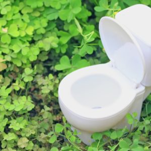 Welttoilettentag – die Geschichte der Toilette