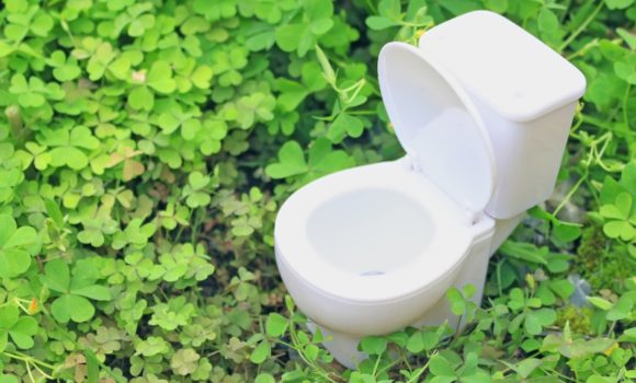 Welttoilettentag – die Geschichte der Toilette