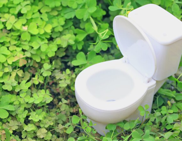 Welttoilettentag – die Geschichte der Toilette Welttoilettentag – die Geschichte der Toilette