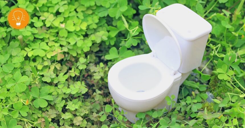 Welttoilettentag – die Geschichte der Toilette