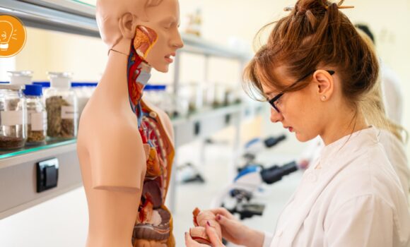 Yes, die Prüfung zum Heilpraktiker für Naturheilkunde ist bestanden – aber was mache ich jetzt damit?