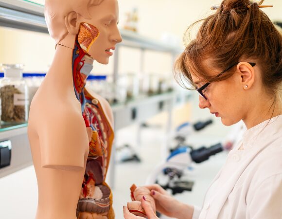 Yes, die Prüfung zum Heilpraktiker für Naturheilkunde ist bestanden – aber was mache ich jetzt damit?