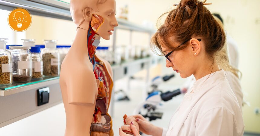 Yes, die Prüfung zum Heilpraktiker für Naturheilkunde ist bestanden – aber was mache ich jetzt damit?