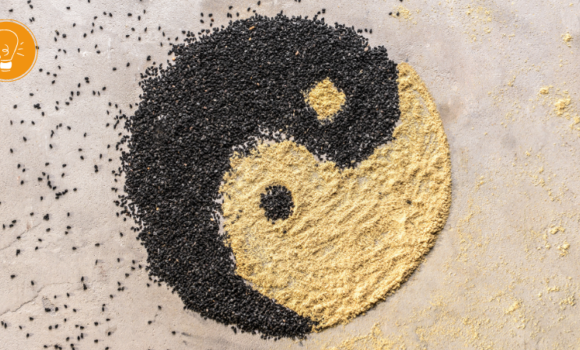 Yin und Yang im Alltag ‒ Balance finden zwischen Aktivität und Ruhe