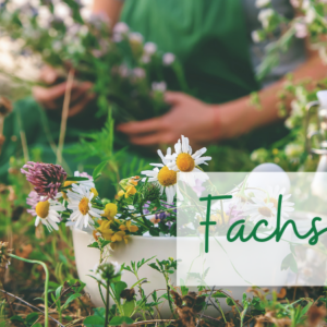 Zellertal – Fachseminar Wild- und Heilkräuter wiederentdecken Zellertal – Fachseminar Wild- und Heilkräuter wiederentdecken