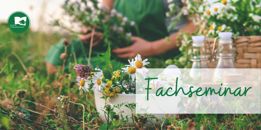 Zellertal – Fachseminar Wild- und Heilkräuter wiederentdecken