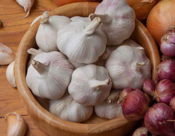 Zwiebeln und Knoblauch – unterschätzte Alleskönner Zwiebeln und Knoblauch – unterschätzte Alleskönner
