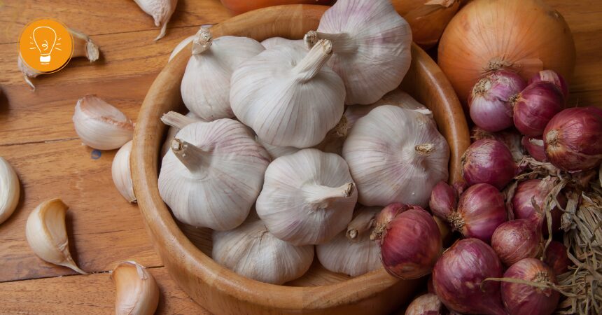 Zwiebeln und Knoblauch – unterschätzte Alleskönner